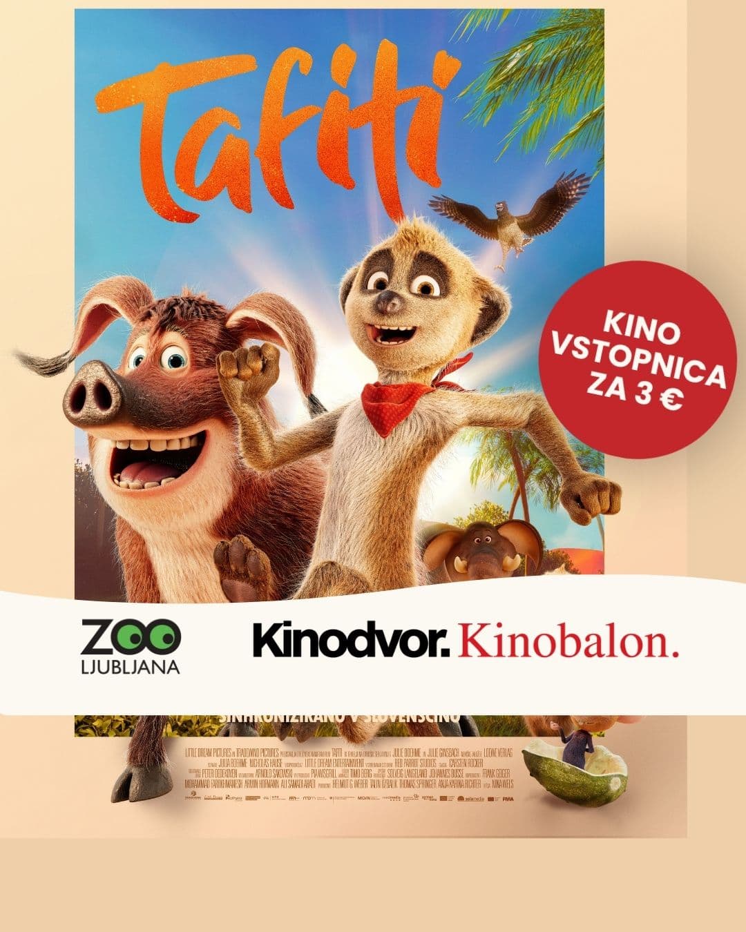 Tafiti v Kinodvoru in dogodivščine s surikatami.