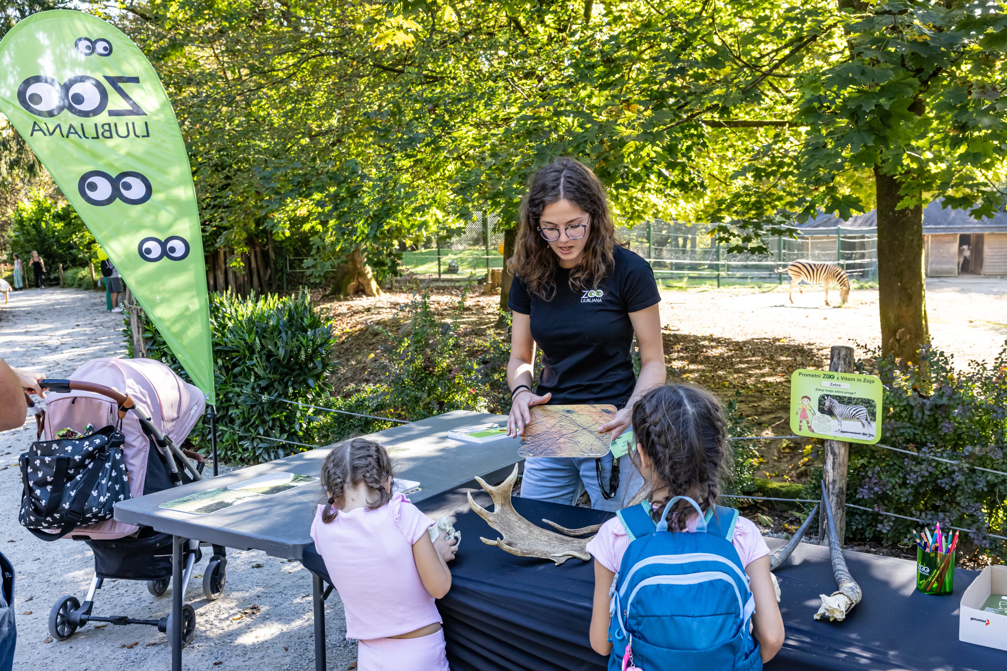 Prometni ZOO v Živalskem vrtu Ljubljana za vrtce, šole in družine