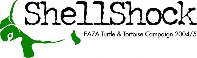 Save the turtles