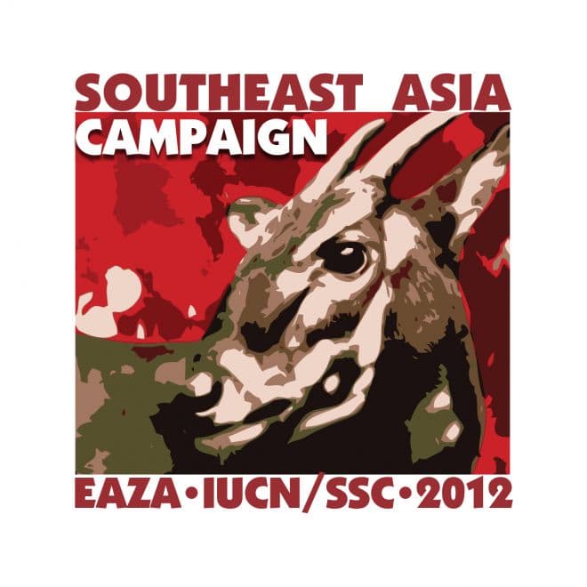 Action Asia