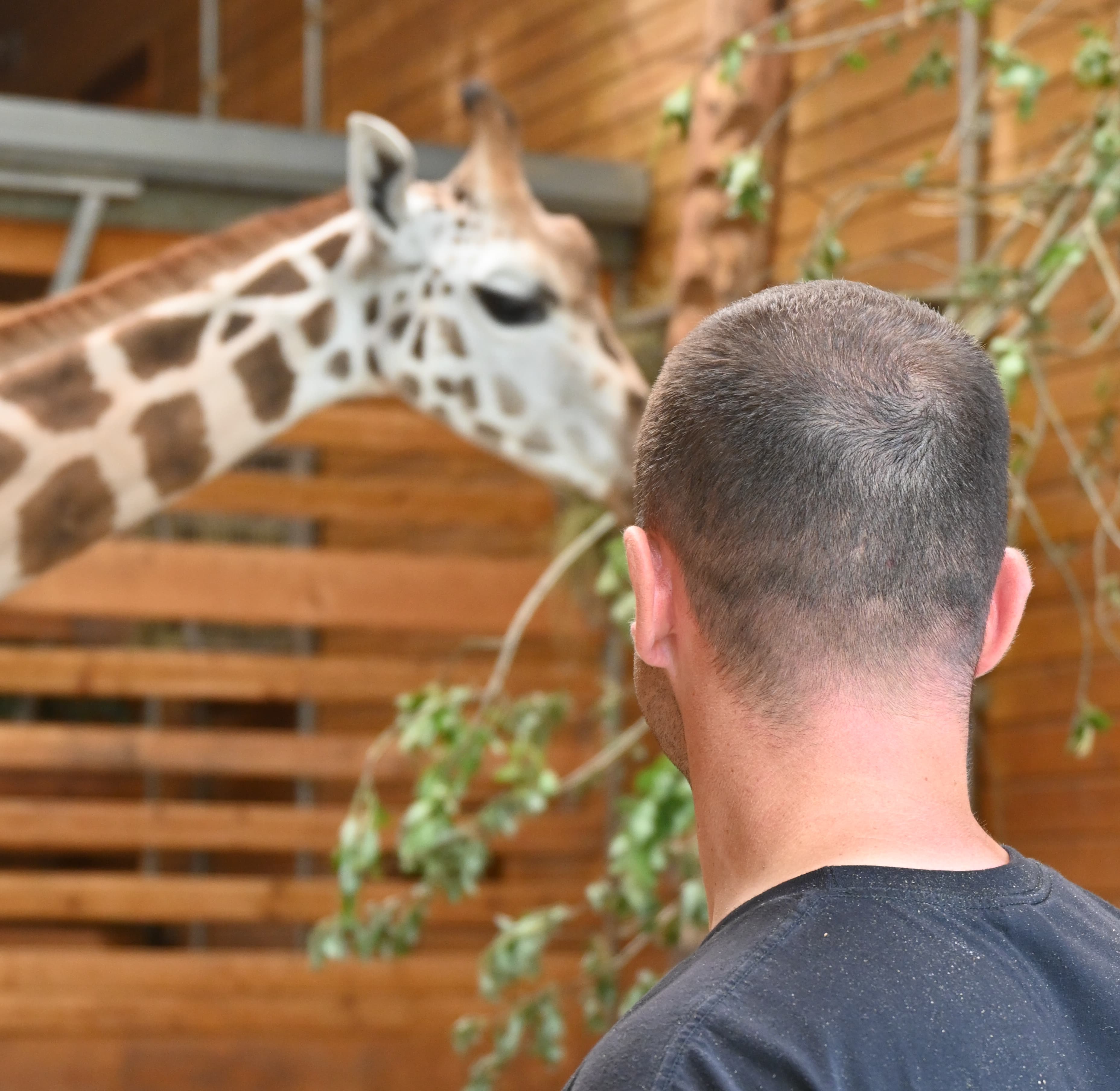 Obišči ZOO Ljubljana in spoznaj žirafo Pietruško!