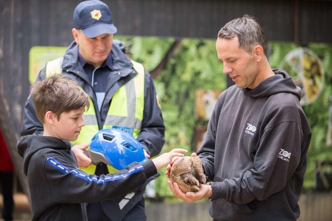 Prometni ZOO z živalskimi vzorniki