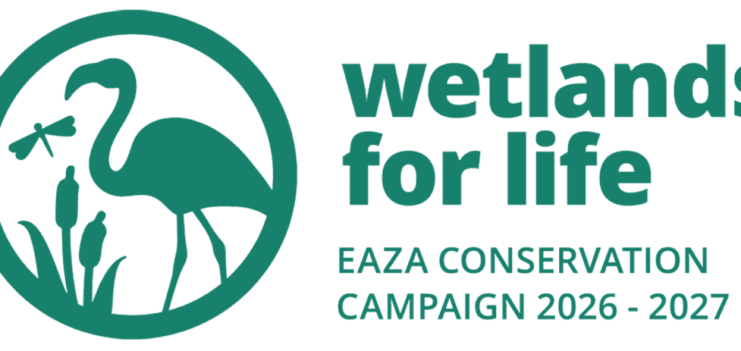 FOR THE LIFE OF WETLANDS — Wetlands for Life