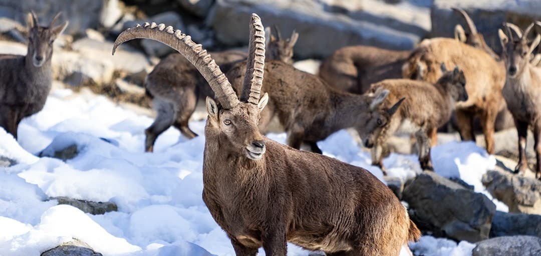 Sporočilo za medije