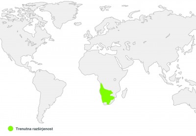 Zemljevid sveta - razširjenost